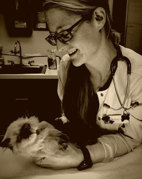 Dr. Kelly Wilson